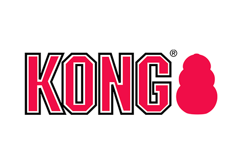Kong jouets chiens