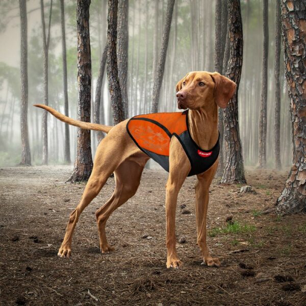 Manteau pour chien imperméable Thermax orange