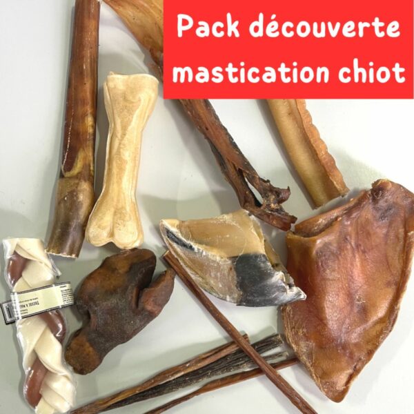 Pack découverte mastication chiot