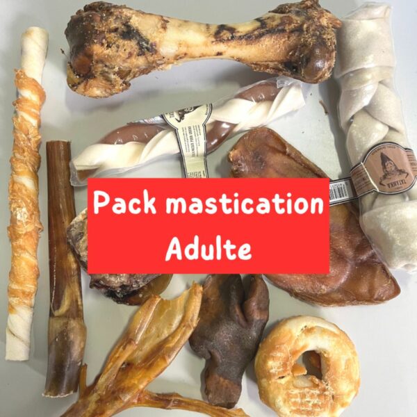 Pack mastication adulte