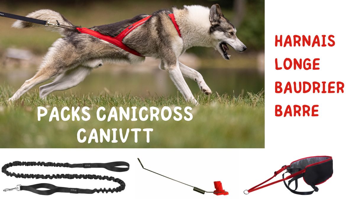 Pack Canicross : baudrier + longe + harnais - Cynoland