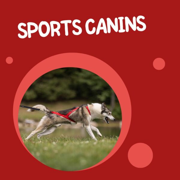 Sport canin