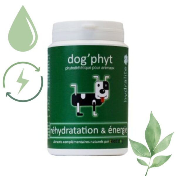 réhydratation et énergie hydralite Diet Dog