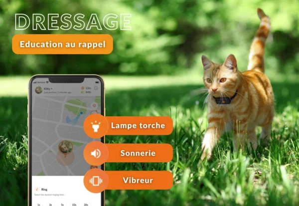 GPS pour chat Weenect