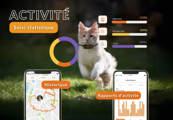 GPS pour chat Weenect