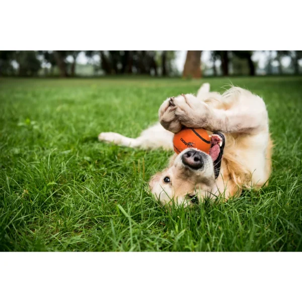 Dog Comets Neutron Star balle flottante pour chien