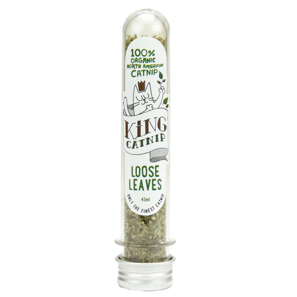 King Catnip Herbe à Chat Biologique