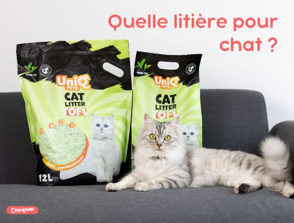 Litière pour chat