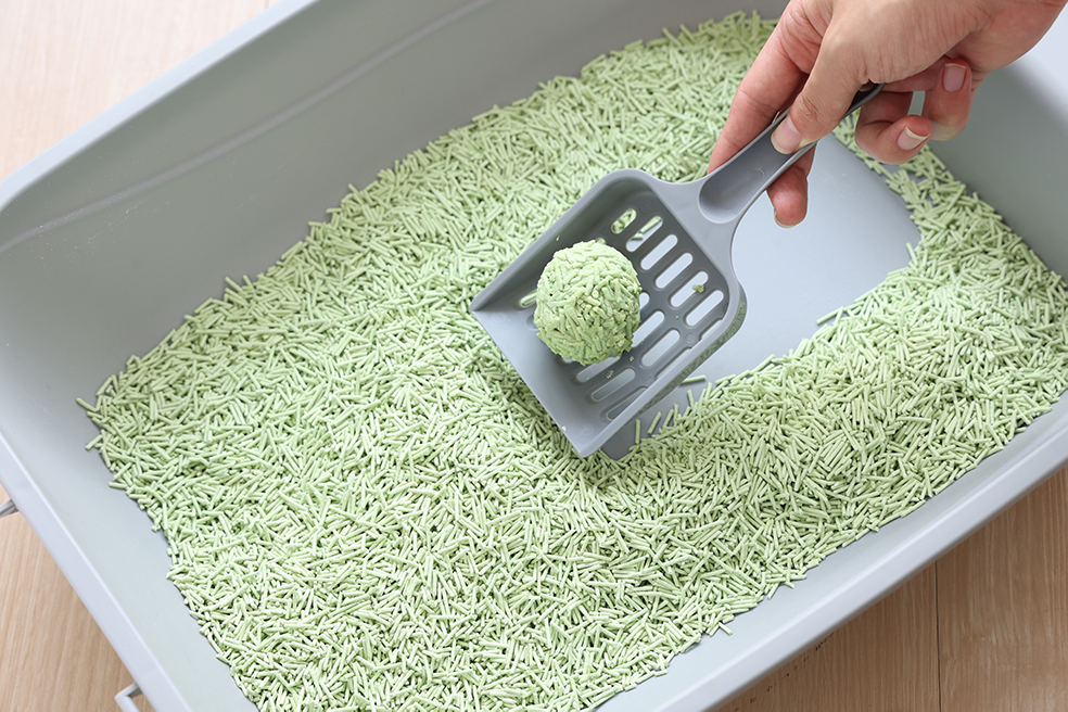 UNIQ Tofu Biodegradable Cat Litter 2,5kg 6L green tea