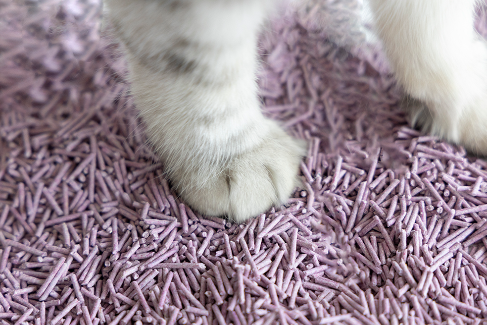 UNIQ Tofu Biodegradable Cat Litter 5kg 12L lavender