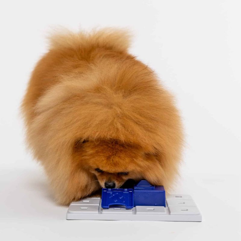 Module Pawzle Sela pour puzzle Pawzler pour chiens