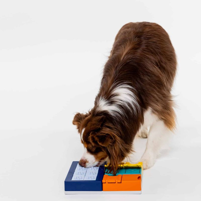 Pack Intelligence Pawzler – Image 4