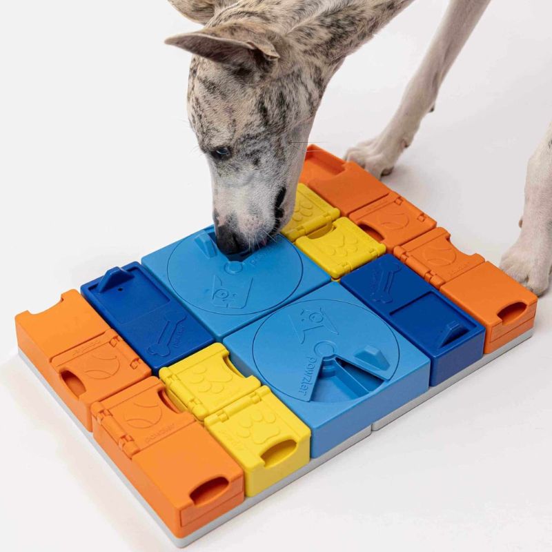 Pack Arc-en-ciel Pawzler – Image 4