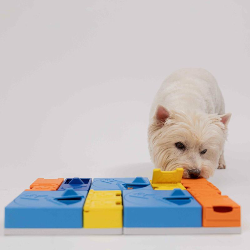Pack arc-en-ciel Pawzler Puzzle pour chien