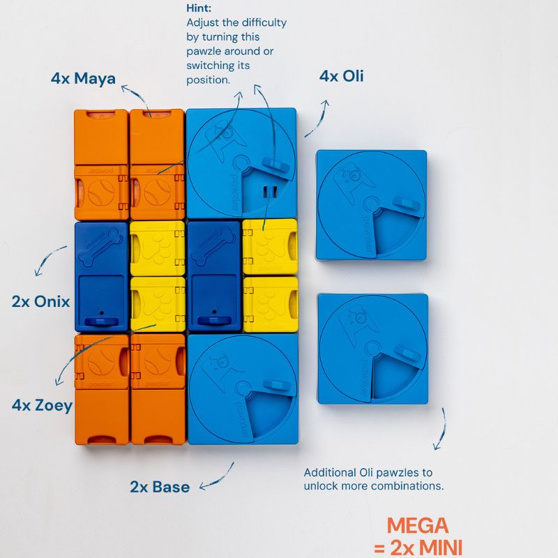 Pack arc-en-ciel Pawzler Puzzle pour chien