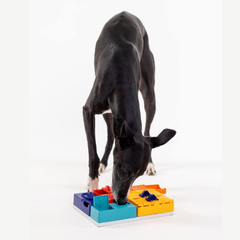 Pack Pawzler Génie puzzle pour chien