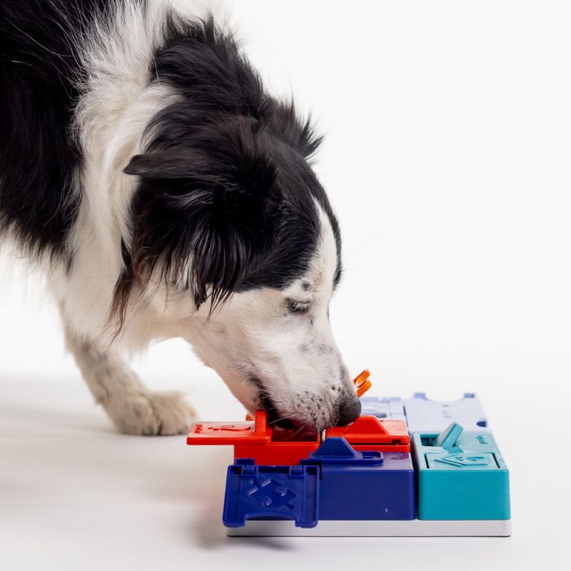 Pack Pawzler Génie puzzle pour chien