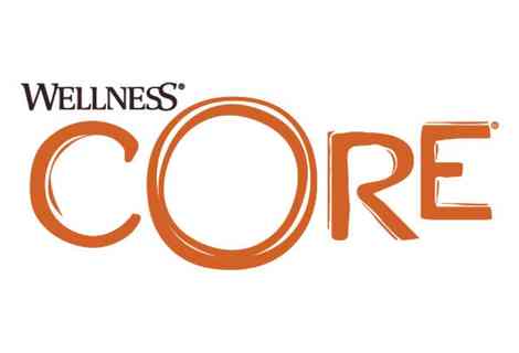 Wellness Core alimentation pour chats